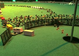 Birdie pasqual gorriz 4