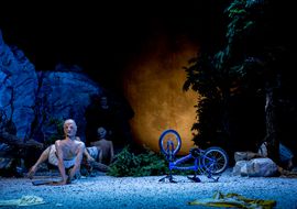 Kind de Peeping Tom Palma