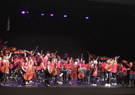 Violoncelos Mallorca