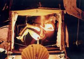 Las tribulaciones de Virginia