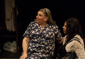 La omisión de la familia Coleman2