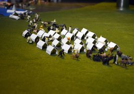 Birdie pasqual gorriz 6