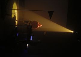 Birdie pasqual gorriz 2