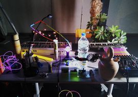 Pelucas en la niebla 1