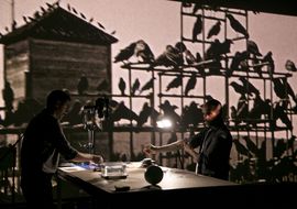 Birdie pasqual gorriz 5