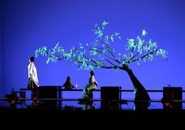 Puccini, ópera, Teatre Principal, Palma, Mallorca