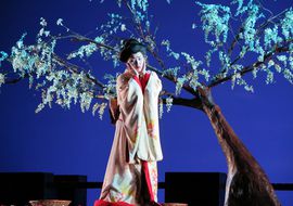 Puccini, ópera, Teatre Principal, Palma, Mallorca