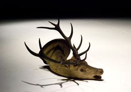 Haneke El conde de Torrefiel2